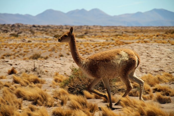 Cambio climático también amenaza a la industria del turismo Cambio climático también amenaza a la industria del turismo