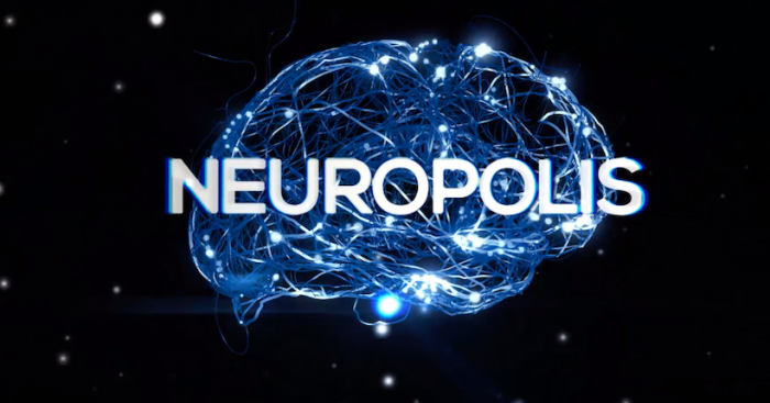 Serie científica chilena Neurópolis, una invitación a navegar por el sistema nervioso y los sentidos Serie científica chilena Neurópolis, una invitación a navegar por el sistema nervioso y los sentidos