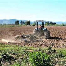 Crísis hídrica: decretan emergencia agrícola en nueve comunas de la Región del Maule