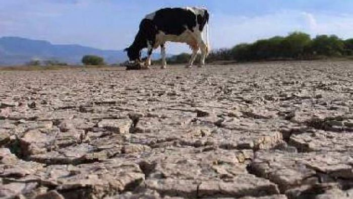 Emergencia climática y desenfoque político Emergencia climática y desenfoque político