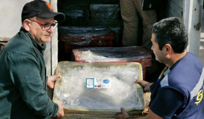 Pescadores de caletas podrán vender productos a través de app Pescadores de caletas podrán vender productos a través de app