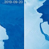 Antártica: las imágenes satelitales del desprendimiento de un iceberg de miles de millones de toneladas de hielo