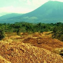 Costa Rica: cómo 12.000 toneladas de desperdicios de naranjas hicieron un 