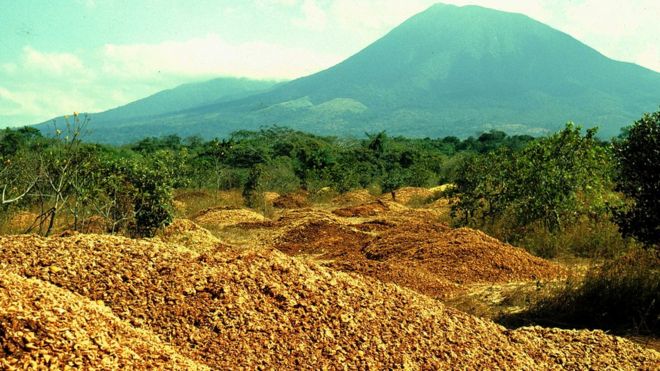 Costa Rica: cómo 12.000 toneladas de desperdicios de naranjas hicieron un «milagro verde» y revivieron un bosque Costa Rica: cómo 12.000 toneladas de desperdicios de naranjas hicieron un