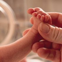 Así es el primer útero artificial que desarrollaron en Holanda y permitirá «renacer» a los bebés