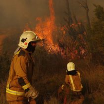 Onemi anunció alerta roja en Valparaíso por incendio forestal en Curauma