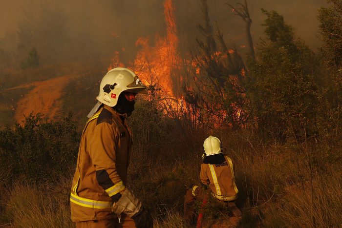 Onemi anunció alerta roja en Valparaíso por incendio forestal en Curauma Onemi anunció alerta roja en Valparaíso por incendio forestal en Curauma
