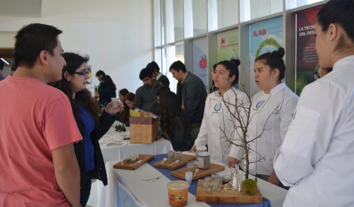 Alumnas de Santa Bárbara ganan concurso con emprendimiento a base de piñón Alumnas de Santa Bárbara ganan concurso con emprendimiento a base de piñón