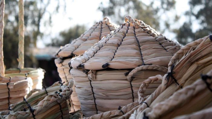 Tejido en Totora: Artesanos al rescate del patrimonio y la sustentabilidad Tejido en Totora: Artesanos al rescate del patrimonio y la sustentabilidad