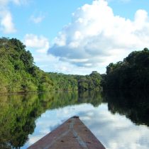 Amazonía Peruana, el nuevo destino que conquista a los turistas