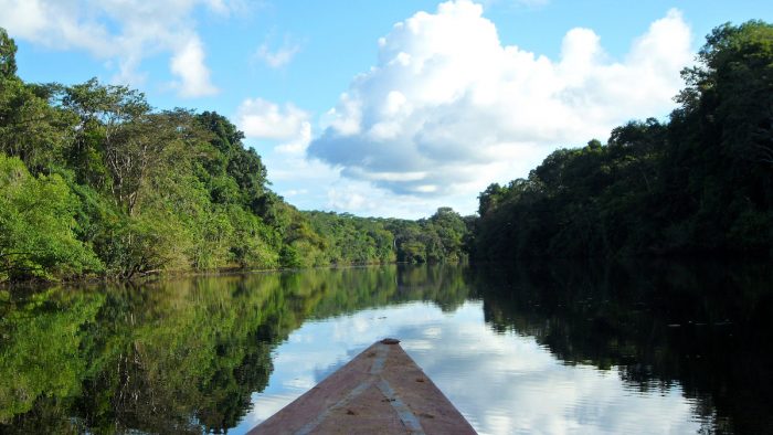 Amazonía Peruana, el nuevo destino que conquista a los turistas Amazonía Peruana, el nuevo destino que conquista a los turistas