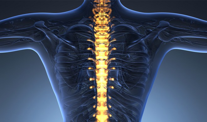 Chile: el país donde la columna vertebral envejece sin cobertura médica Chile: el país donde la columna vertebral envejece sin cobertura médica