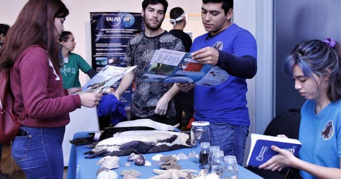 Feria Medio Ambientalen Museo de Historia Natural de Valparaíso Feria Medio Ambientalen Museo de Historia Natural de Valparaíso