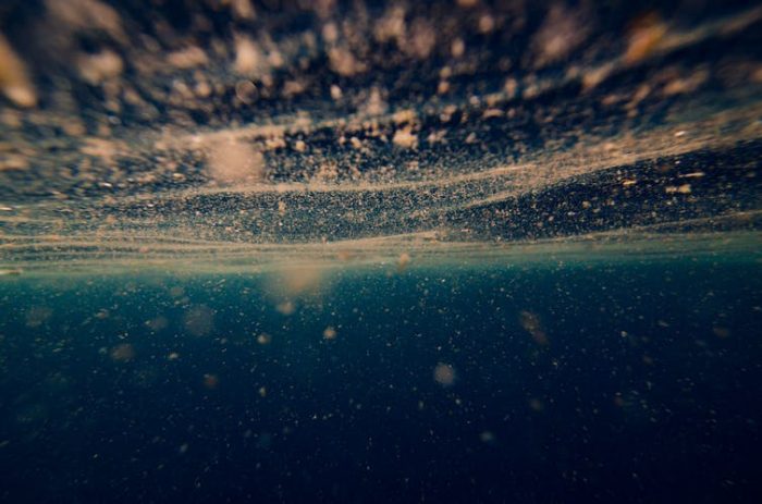 ¿Quién produce el oxígeno que respiramos? La respuesta flota en los océanos ¿Quién produce el oxígeno que respiramos? La respuesta flota en los océanos