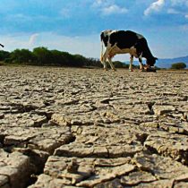Emergencia hídrica: “Agua que no has de beber, reutilízala”
