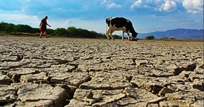 Académica de la Universidad de Talca advierte aumento de la sequía ante indicios del fenómeno 