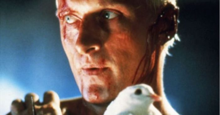 Blade Runner: 5 predicciones tecnológicas de la película sobre 2019 que se hicieron realidad, resultaron equivocadas o están por cumplirse Blade Runner: 5 predicciones tecnológicas de la película sobre 2019 que se hicieron realidad, resultaron equivocadas o están por cumplirse