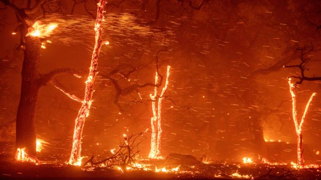 Las acciones que recomiendan 11.000 científicos para evitar un “sufrimiento incalculable” por el cambio climático Las acciones que recomiendan 11.000 científicos para evitar un “sufrimiento incalculable” por el cambio climático