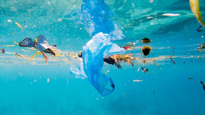 «Rompiendo la ola de plástico»: comunidad académica internacional advierte que en 2025 podrían haber más plásticos que peces en el océano «Rompiendo la ola de plástico»: comunidad académica internacional advierte que en 2025 podrían haber más plásticos que peces en el océano