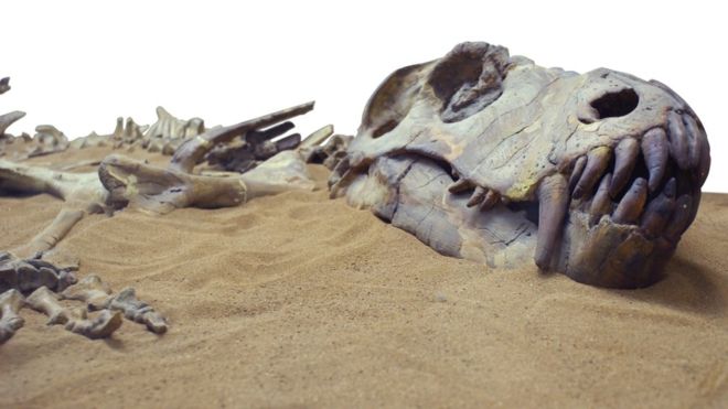 Los 8 animales extintos que nunca más volveremos a ver (y uno que volvió de la muerte) Los 8 animales extintos que nunca más volveremos a ver (y uno que volvió de la muerte)