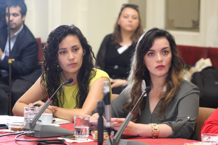 Abofem denuncia la omisión de casos de violencia política sexual en la comisión de DD.HH del Senado Abofem denuncia la omisión de casos de violencia política sexual en la comisión de DD.HH del Senado