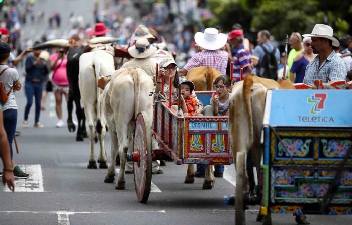 Costa Rica celebra su día con decenas de bueyes y carretas llenos de color Costa Rica celebra su día con decenas de bueyes y carretas llenos de color