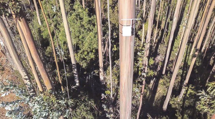 Desarrollan solución IoT para detección temprana de incendios Desarrollan solución IoT para detección temprana de incendios