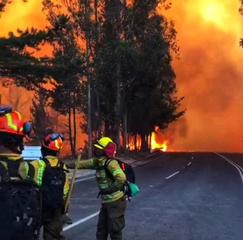 Se reactiva incendio que afecta a la comuna de Quintay, en la región de Valparaíso Se reactiva incendio que afecta a la comuna de Quintay, en la región de Valparaíso