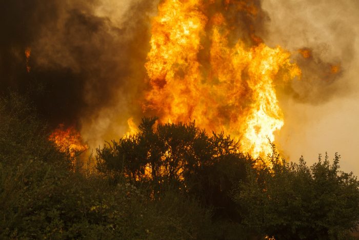 Incendios forestales: Carabineros ha detenido a 15 personas por responsabilidad en inicio de focos