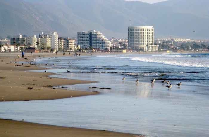 Preocupación en Coquimbo y La Serena por posible retroceso a cuarentena tras constante alza de contagios de Covid-19 Preocupación en Coquimbo y La Serena por posible retroceso a cuarentena tras constante alza de contagios de Covid-19