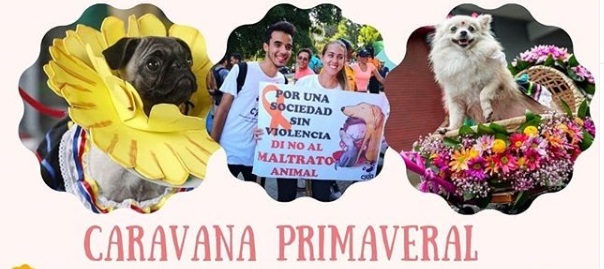 Carnaval de la primavera potencia la tenencia responsable Carnaval de la primavera potencia la tenencia responsable