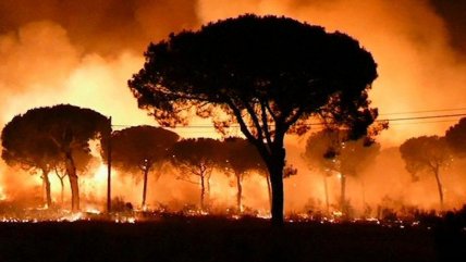 El severo calentamiento social y la crisis climática: lo que estamos legando a las futuras generaciones El severo calentamiento social y la crisis climática: lo que estamos legando a las futuras generaciones