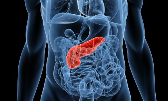 Día Mundial contra el Cáncer de Páncreas: una enfermedad en aumento Día Mundial contra el Cáncer de Páncreas: una enfermedad en aumento