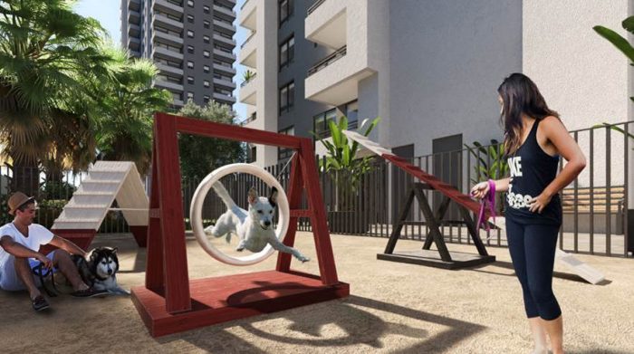 Zonas “pet friendly”: la nueva tendencia en espacios comunes para proyectos inmobiliarios Zonas “pet friendly”: la nueva tendencia en espacios comunes para proyectos inmobiliarios
