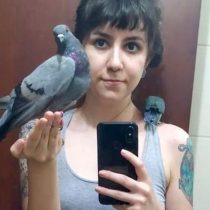 Qué tan cierto es que las palomas son 