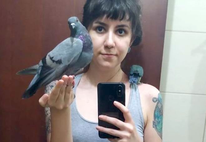 Qué tan cierto es que las palomas son “ratas con alas” que transmiten enfermedades Qué tan cierto es que las palomas son