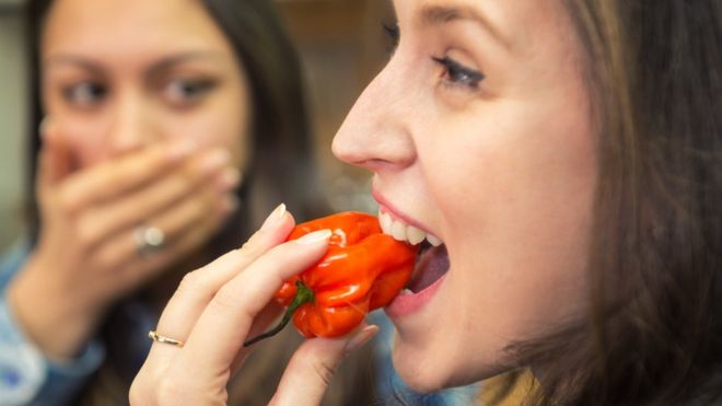 ¿Por qué los humanos somos prácticamente los únicos mamíferos a los que les gusta el picante? ¿Por qué los humanos somos prácticamente los únicos mamíferos a los que les gusta el picante?