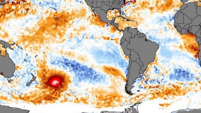 La “mancha caliente”: la masa de agua cálida que apareció en el Pacífico cerca de Nueva Zelanda y se “mueve” a Sudamérica La “mancha caliente”: la masa de agua cálida que apareció en el Pacífico cerca de Nueva Zelanda y se “mueve” a Sudamérica