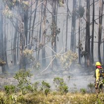 Reducir los riesgos climáticos y de desastres: una hoja de ruta sectorial
