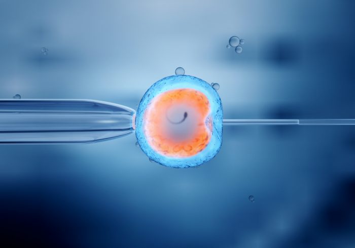 Científicos chilenos desarrollan fertilidad asistida con 80% de sobrevida de espermios
