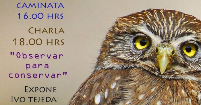 “Observar para conservar”: caminata y observación de aves en Limache “Observar para conservar”: caminata y observación de aves en Limache