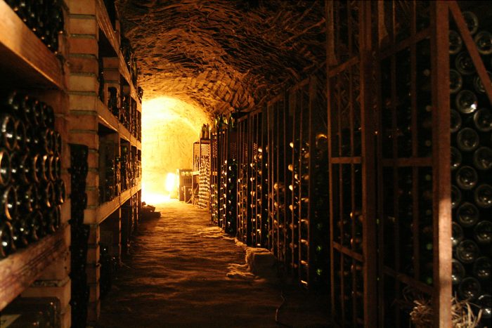 Dos vinos chilenos elegidos como las mejores vinos de guarda del mundo