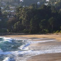 Académico chileno expondrá en la COP25  sobre erosión del borde costero en Chile