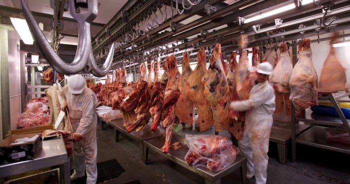 COP25: La ciencia aboga por reducir el consumo de carne contra la crisis climática COP25: La ciencia aboga por reducir el consumo de carne contra la crisis climática