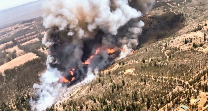 Alerta roja para El Quisco: incendio consume más de 600 hectáreas y se extiende a Casablanca y Algarrobo Alerta roja para El Quisco: incendio consume más de 600 hectáreas y se extiende a Casablanca y Algarrobo