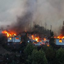 Colegio Médico Veterinario tras incendios en Valparaíso: “Estamos al debe como país para enfrentar todas las dimensiones de una emergencia”