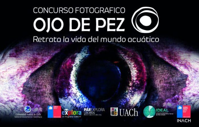En diciembre inicia la presentación de las mejores fotografías del concurso Ojo de Pez 2019 En diciembre inicia la presentación de las mejores fotografías del concurso Ojo de Pez 2019