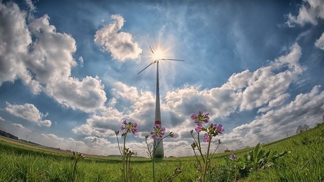 ¿Aliado o enemigo?: experto explica cómo eliminar el plástico puede ser peor para el medioambiente ¿Aliado o enemigo?: experto explica cómo eliminar el plástico puede ser peor para el medioambiente