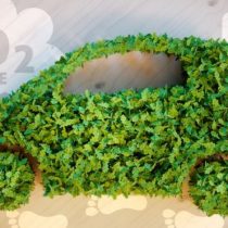 Qué es el hidrógeno verde y cómo podría ayudar a limpiar nuestras carreteras de CO2 y a cocinar con menos humo