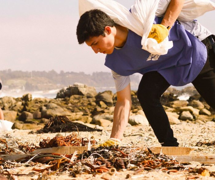 Inicia la campaña anual de Voluntarios Por el Océano: revisa las fechas de limpieza de playas para este verano Inicia la campaña anual de Voluntarios Por el Océano: revisa las fechas de limpieza de playas para este verano